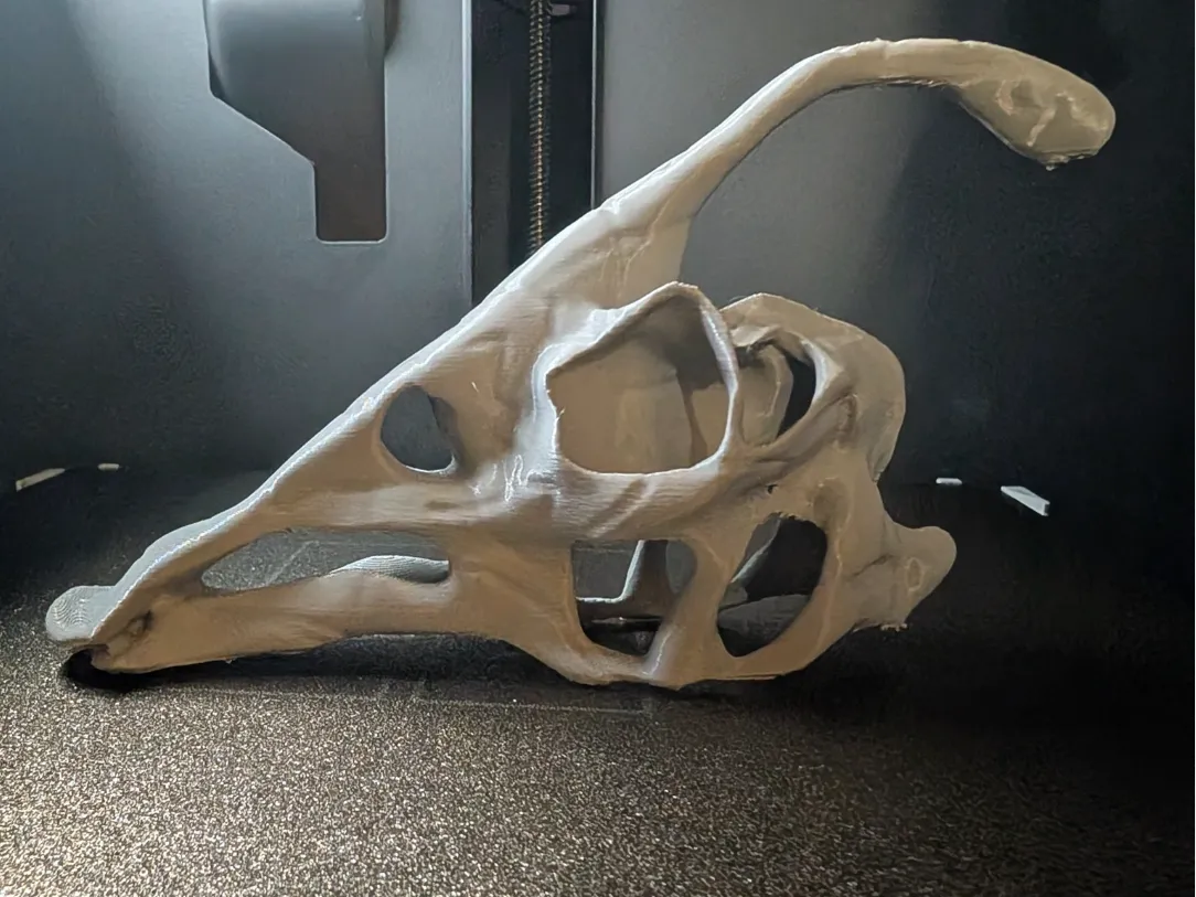 Crâne de Parasaurolophus, dinosaure - Maquette Print
