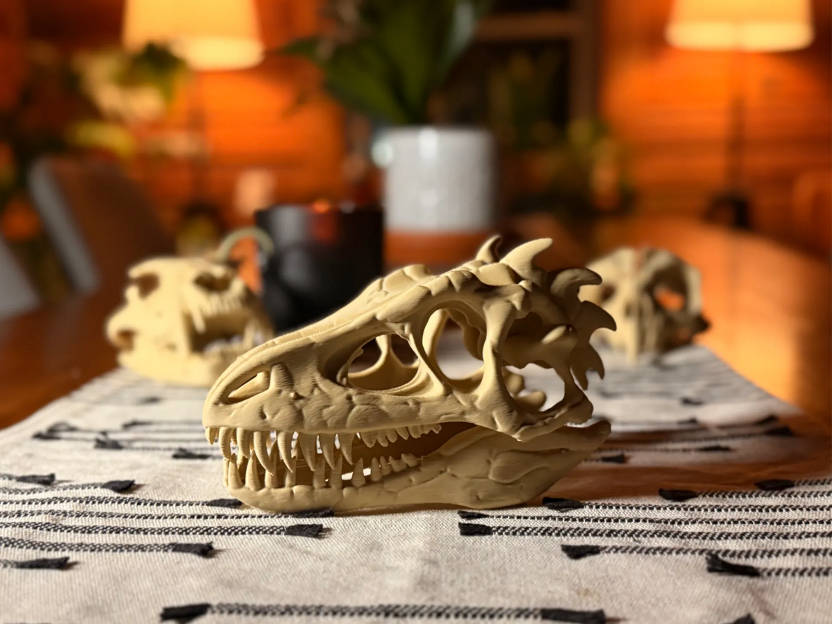 Crâne de dinosaure fossile - Maquette Print