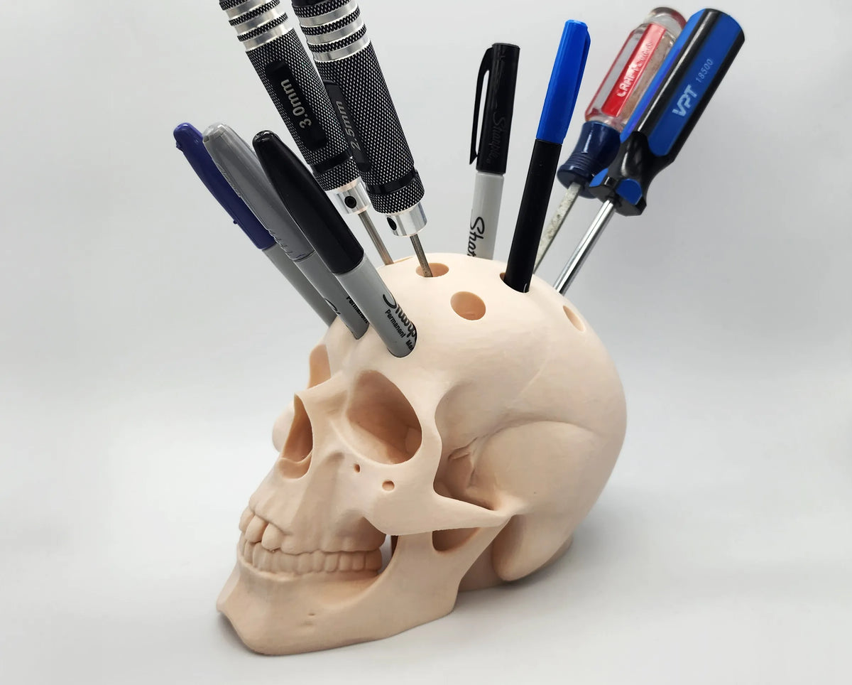 Porte-stylos Crâne Humain - Science Print