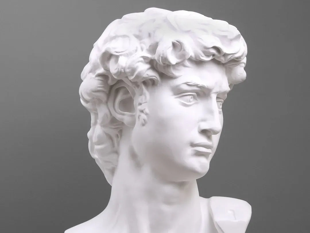 Statue de la tête de David – Sculpture - Art Print