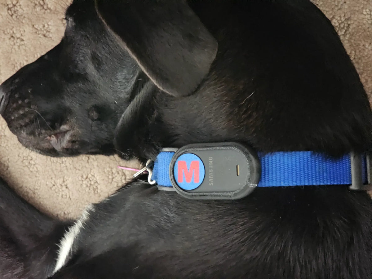 Suiveur de collier pour chien SmartTag2 - TPU - Pet Print