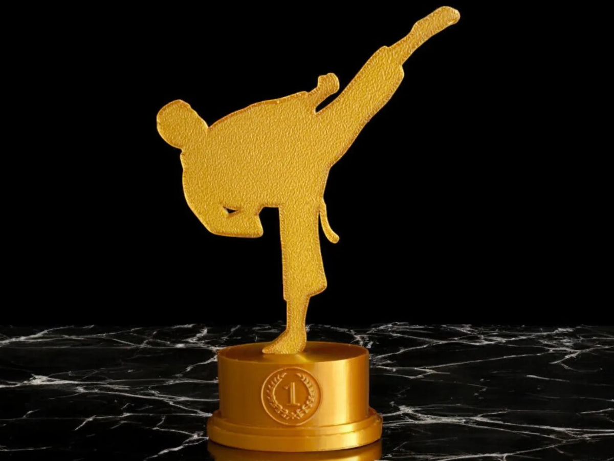 Trophée de karaté personnalisable, figurine masculine ou féminine - Figurine Print