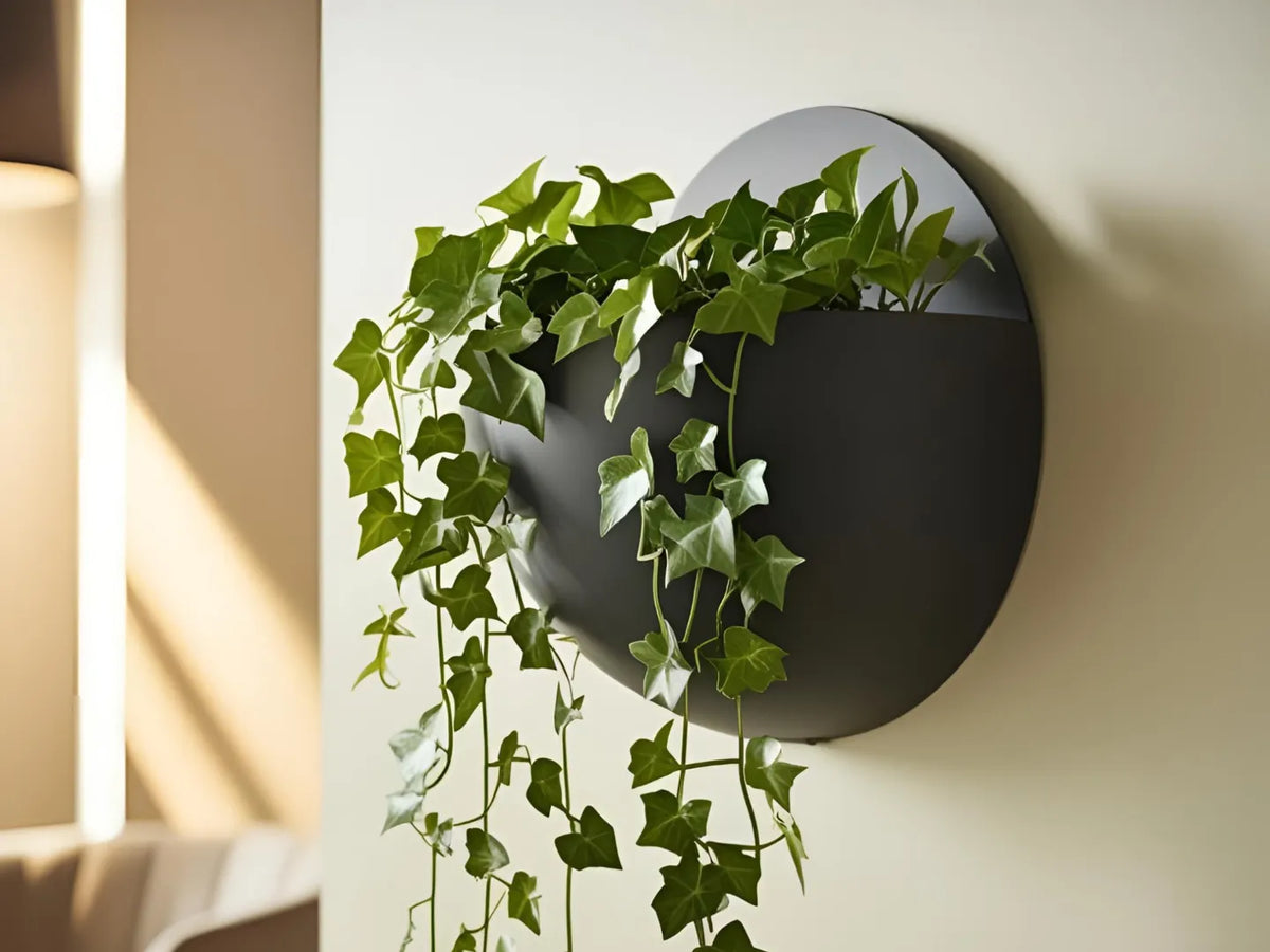 Pot de plante sphérique mural - Jardin Print
