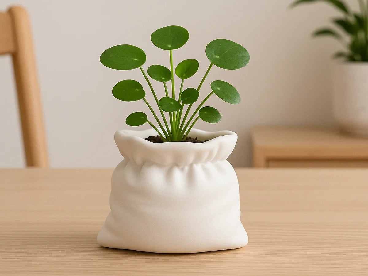 Vase sac souple – Sac en tissu imprimé en 3D - Maison Print