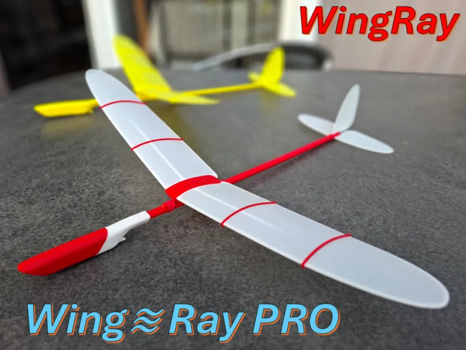 Planeur de vol libre "WingRay" - Maquette Print