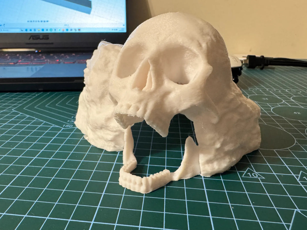 Terrierre pour araignée ou serpent - Pet Print