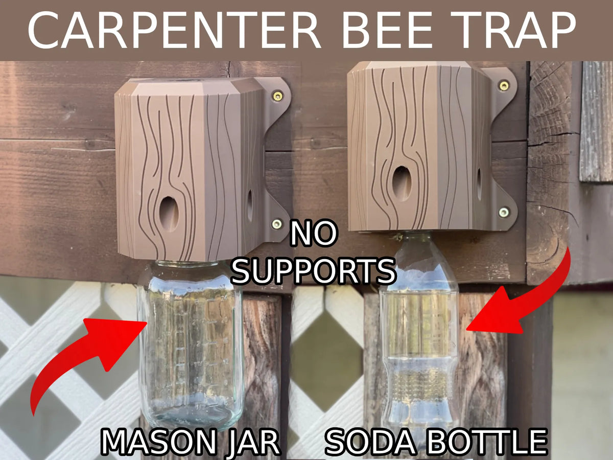 Piège à abeilles charpentières - Jardin Print