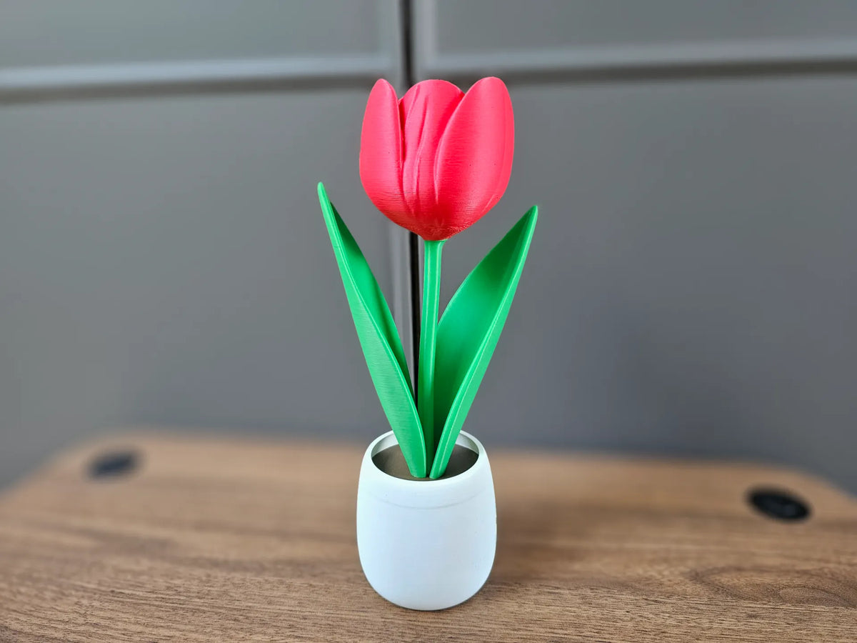 Tulipe en pot - Jardin Print