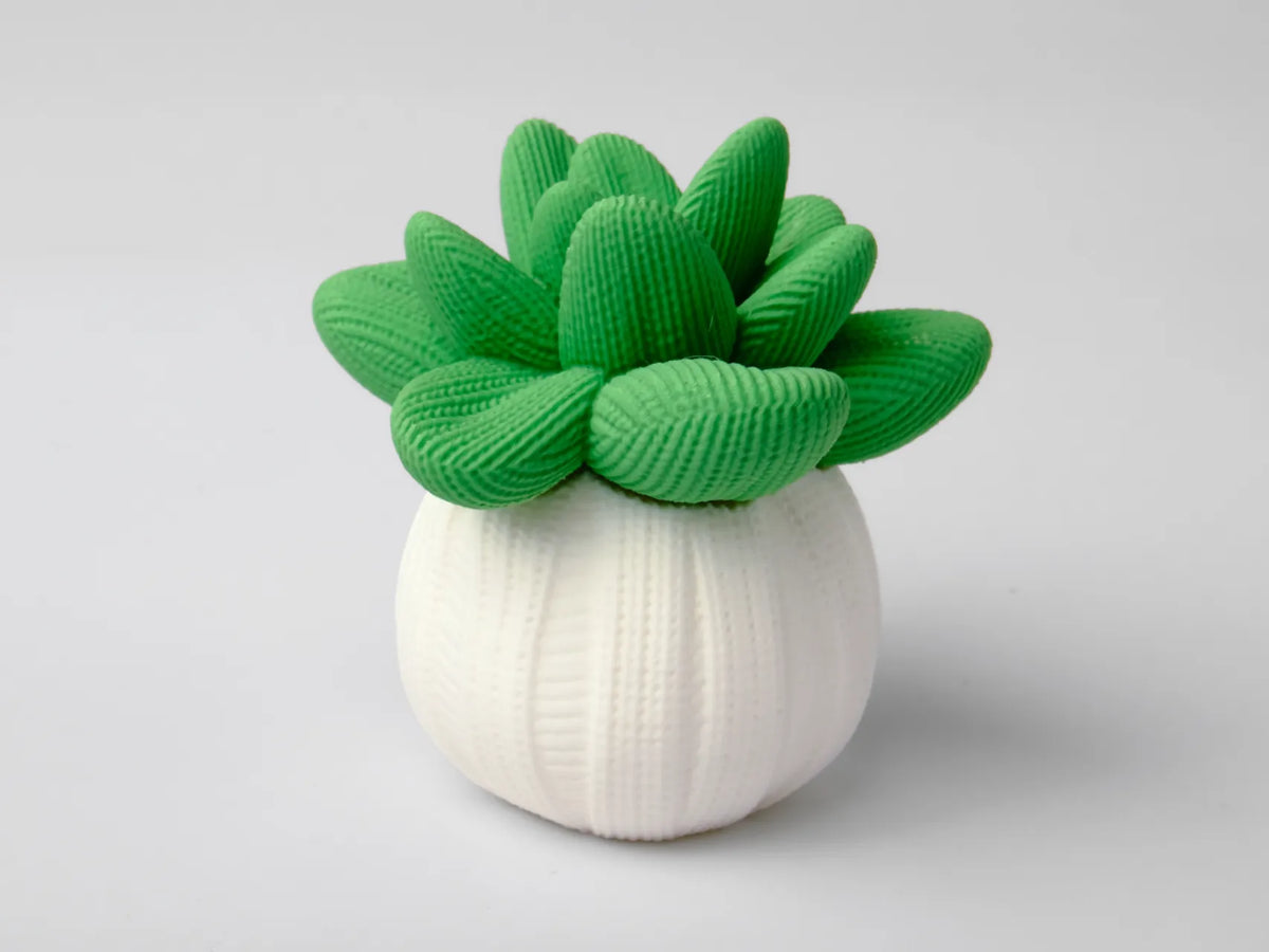 Ami le succulent – Décor de plante mignon pour le bureau - Figurine Print
