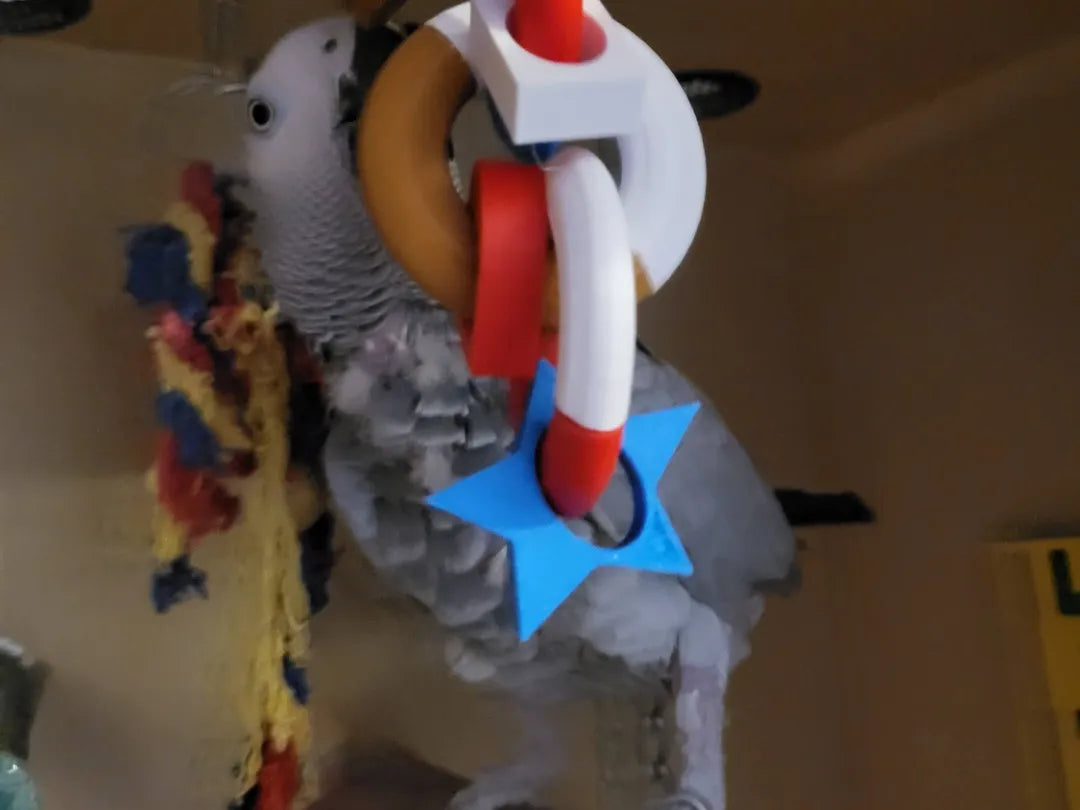 Jouet anneau modulaire pour perroquet - Balançoire interactive pour oiseaux - Pet Print