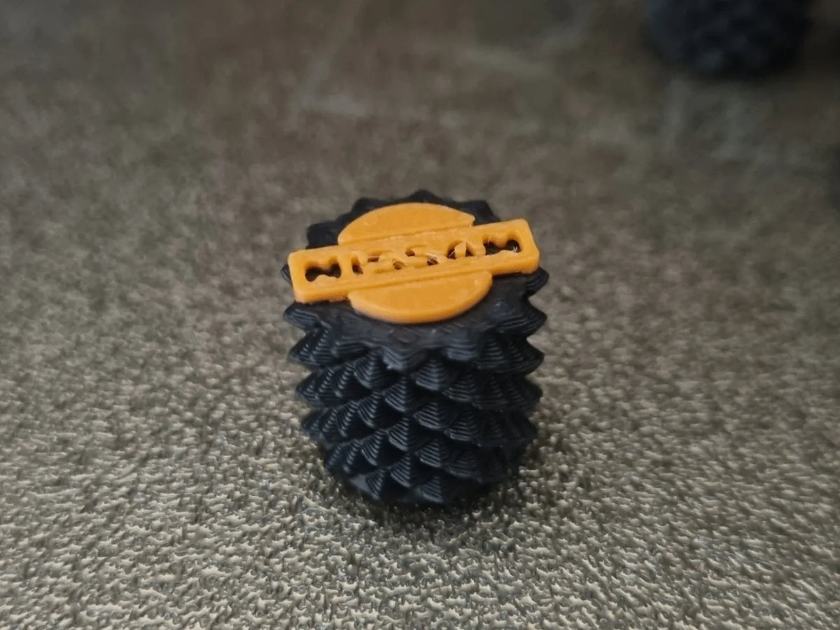 Cache-poussière de valve de pneu logo Nissan - Auto Print