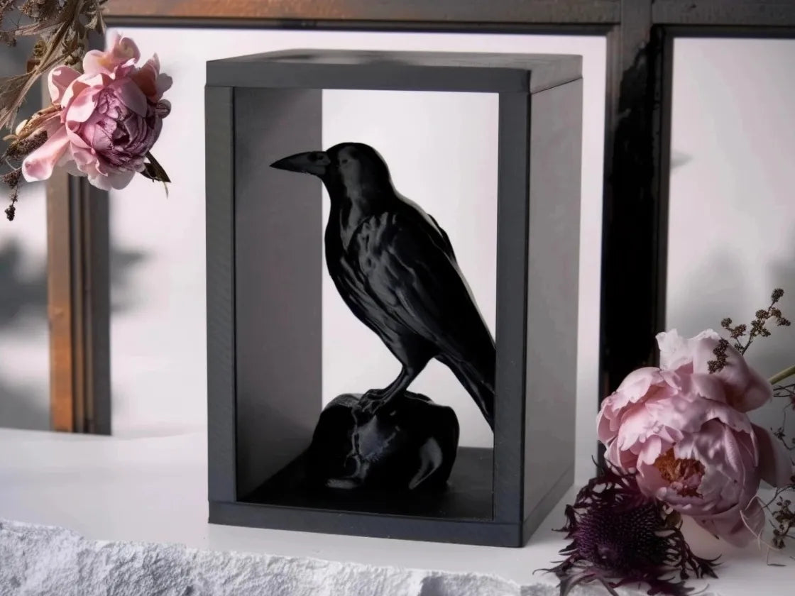 Perchoir de Corbeau – Décor de bibliothèque pour les amoureux des livres - Music Print