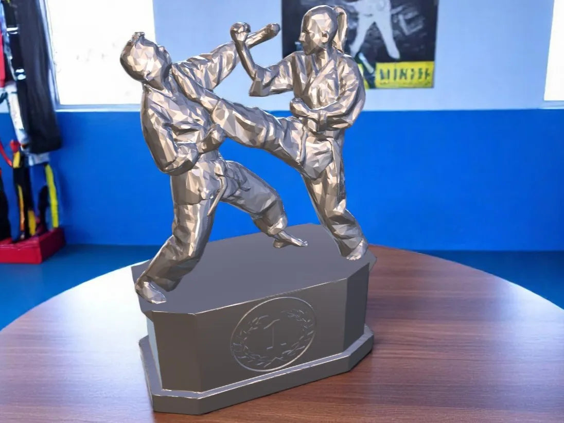 Trophée de tournoi de karaté médaille de récompense - Sport Print