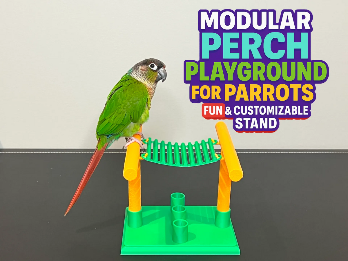 Aire de jeux modulaire pour perruches et oiseaux - Pet Print