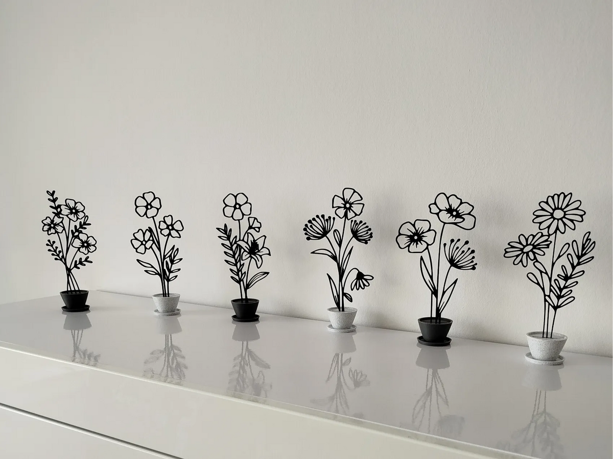 Fleurs en pot - Jardin Print