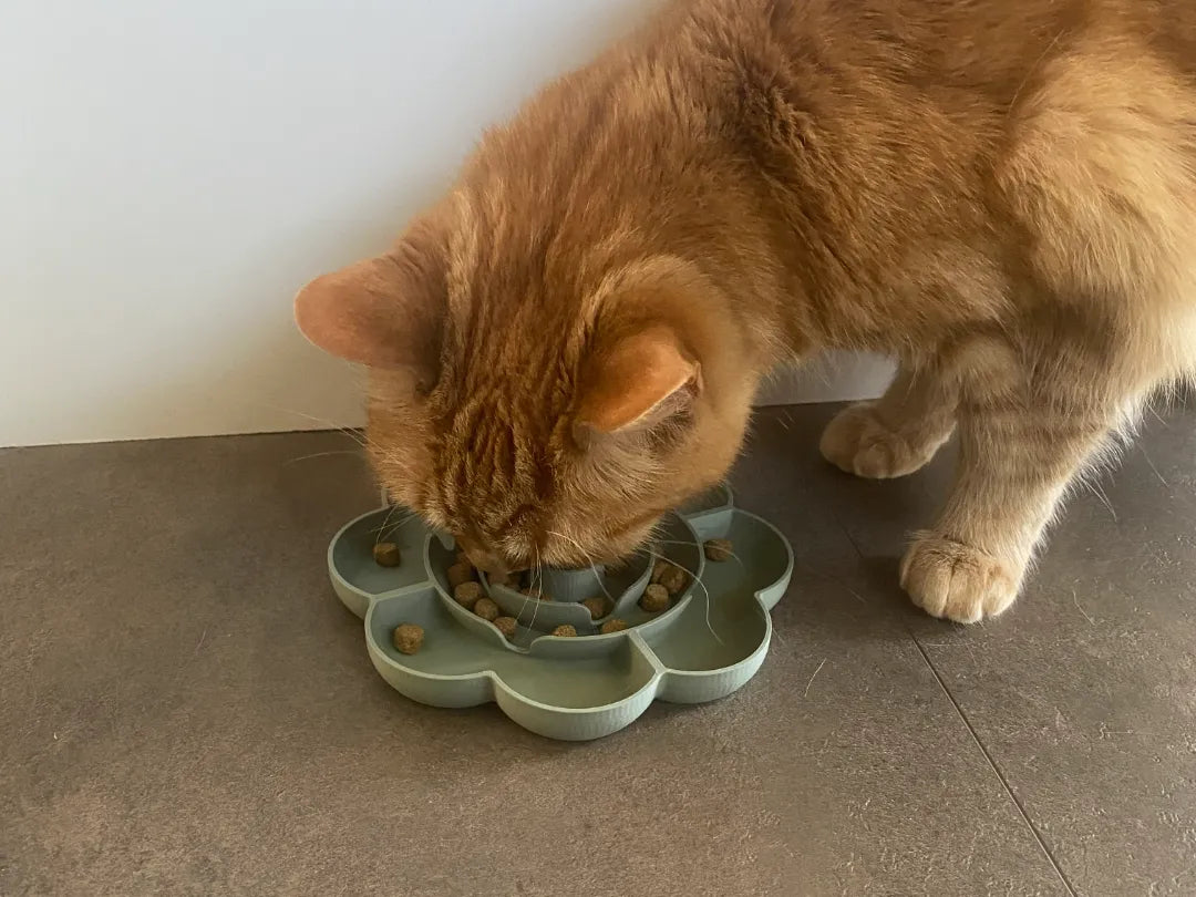Gamelle pour animaux en forme de fleur à alimentation lente pour chats et petits chiens - Pet Print