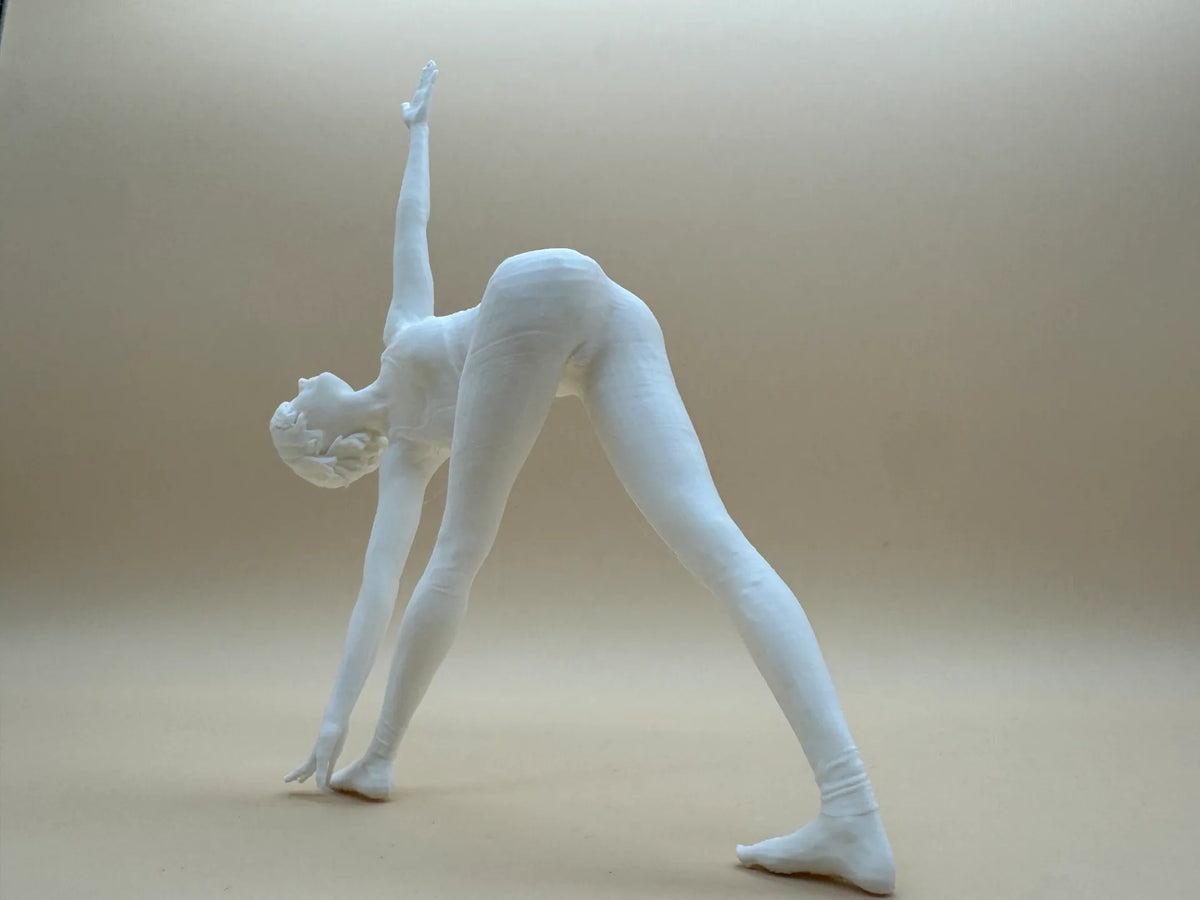 Leçon six de yoga - Sport Print