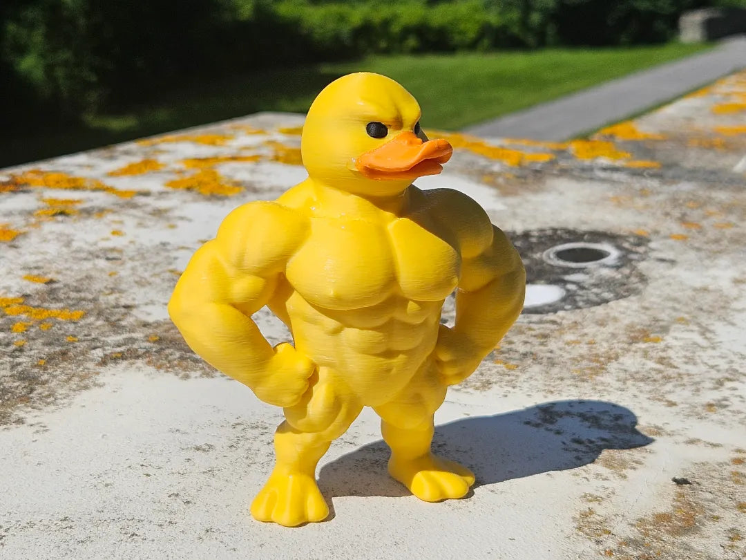 Canard en caoutchouc musclé jouet amusant - Bébé Print
