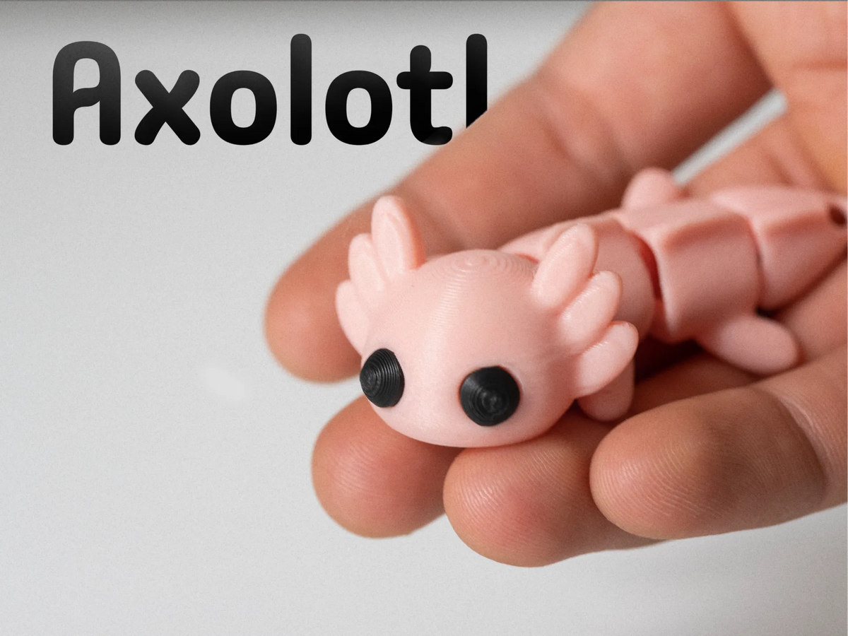 Axolotl – Articulé & Porte-clés - Figurine Print