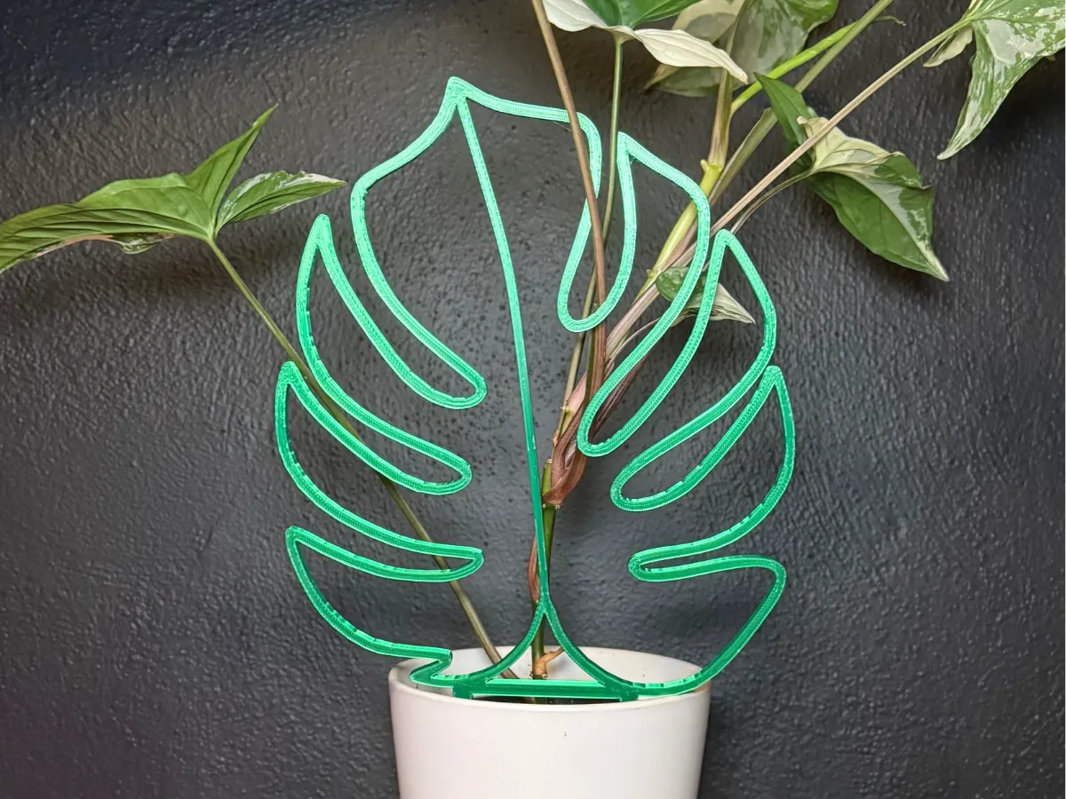 Treillis en forme de feuille de Monstera - Jardin Print
