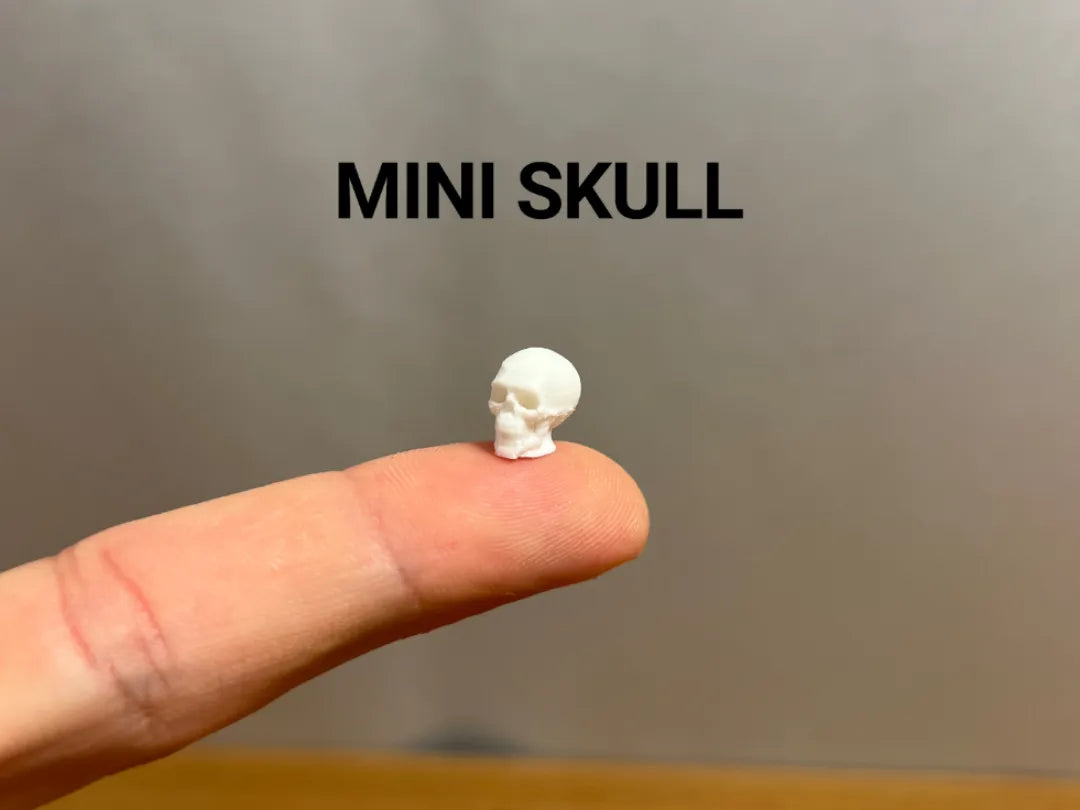 Crâne miniature - Science Print