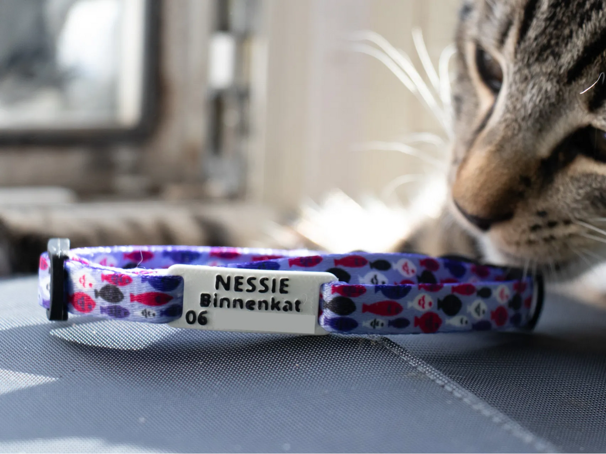 Plaque d'identification de chat personnalisable pour collier de 1 cm - Pet Print