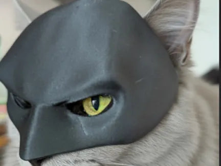 Joli masque de chat chauve-souris - Geek Print
