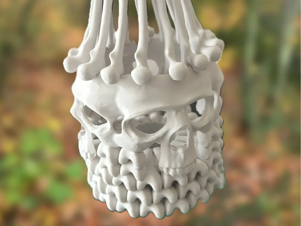 Lampe Lanterne Os - Lumière Print