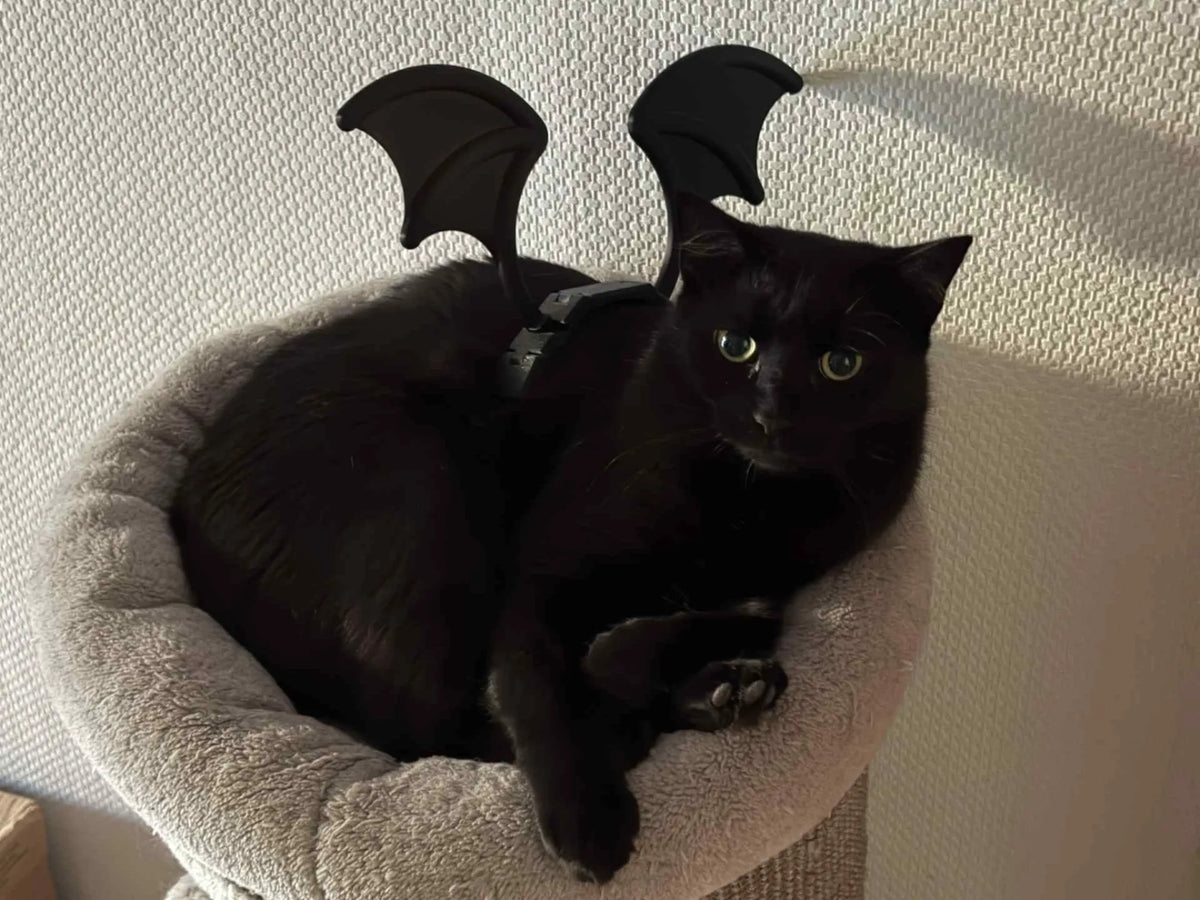 Ailes de chauve-souris pour chat - Cosplay Print