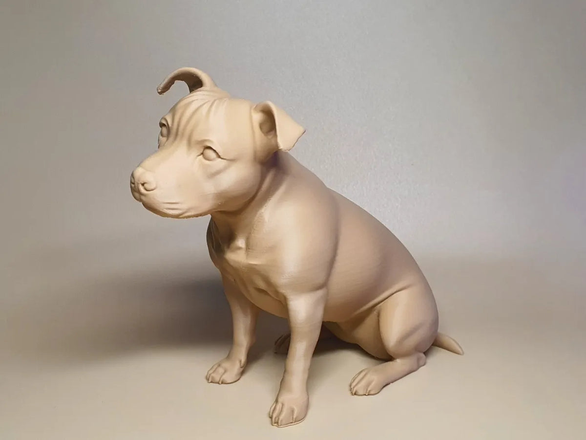 Staffordshire bull terrier *Tête inclinée assise - Art Print