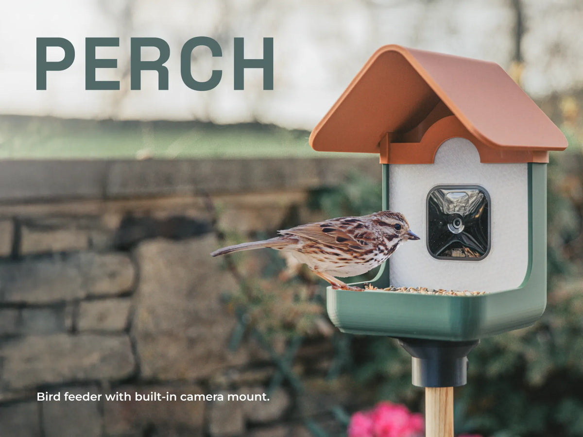 Perch - Mangeoire à oiseaux avec support de caméra intégré - Pet Print