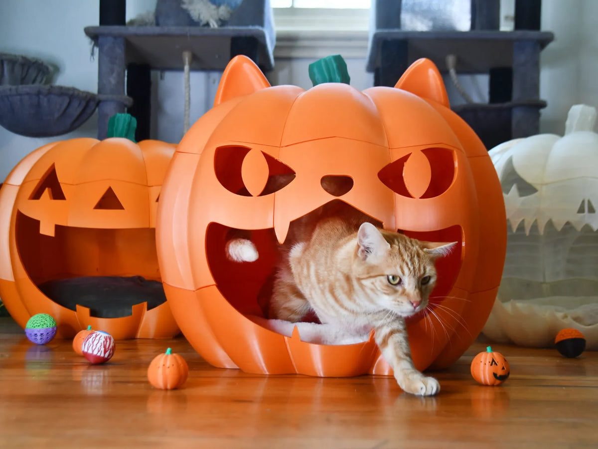 Panier géant pour animal de compagnie Citrouille Jack O'Lantern - Fêtes Print