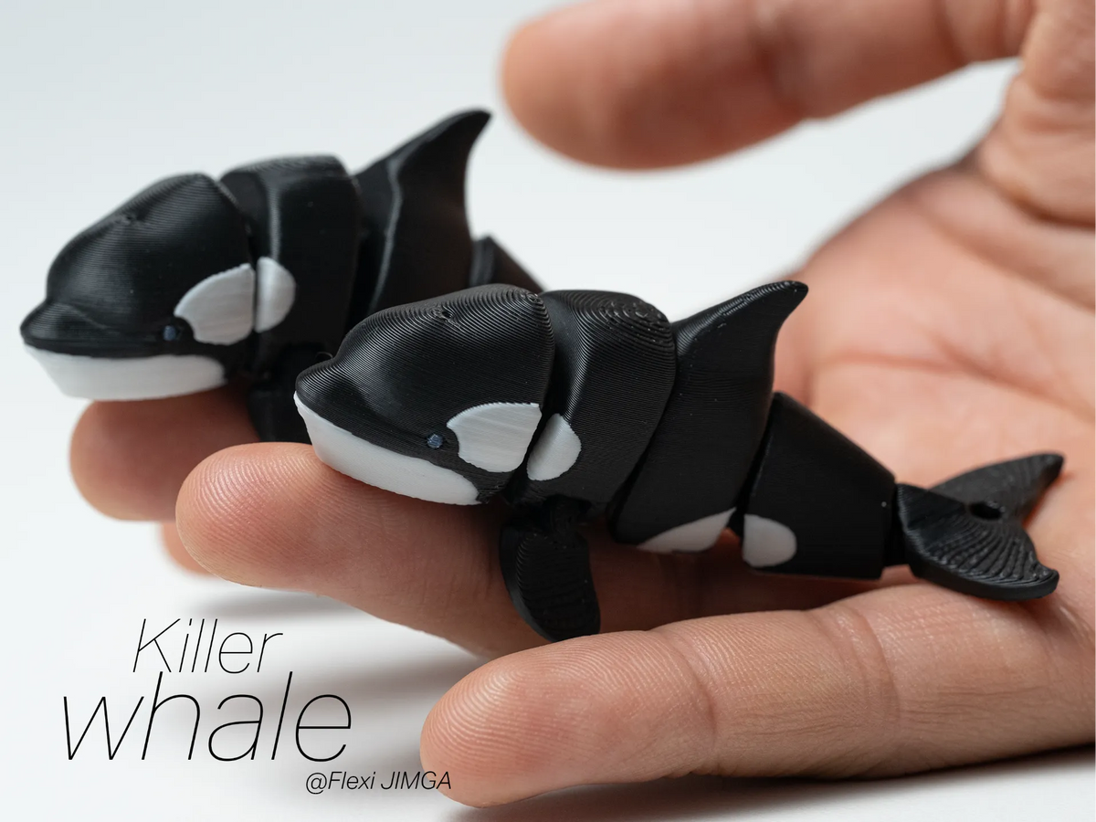 Petit animal orque Flexi - Articulé et Porte-clés - Jeux Print