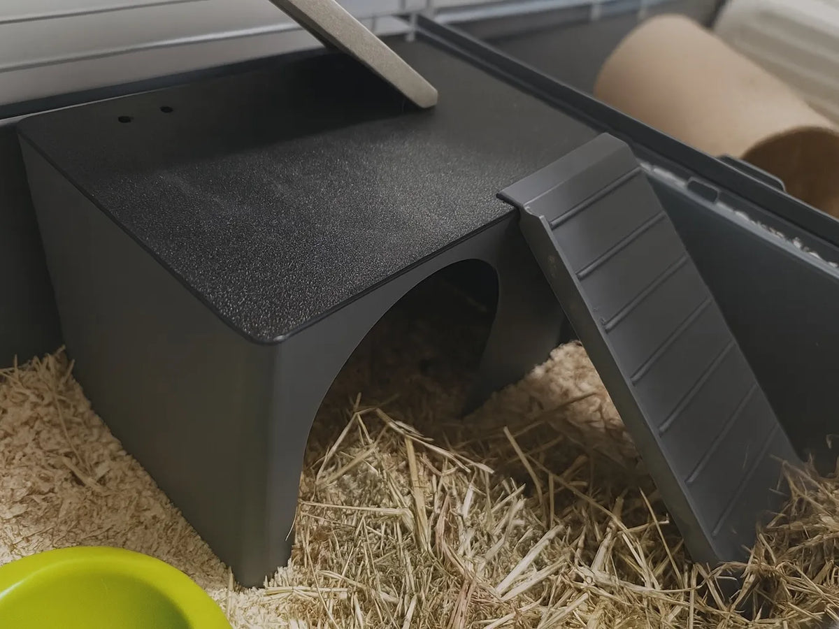 Maison personnalisable pour hamster / cochon d'Inde avec rampe - Pet Print