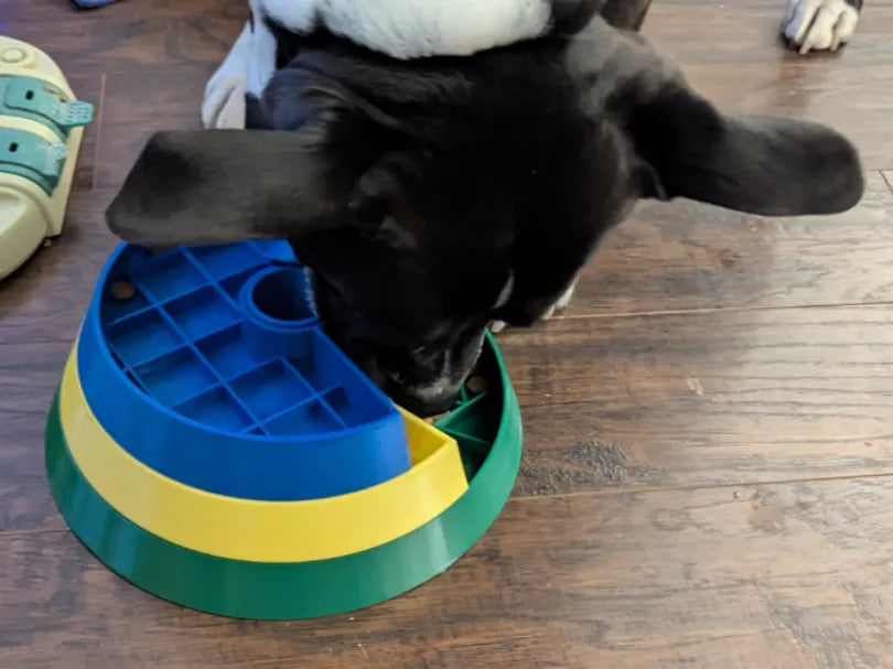 Gamelle Distributrice Lente Interactive Spin & Seek pour Chien - Pet Print