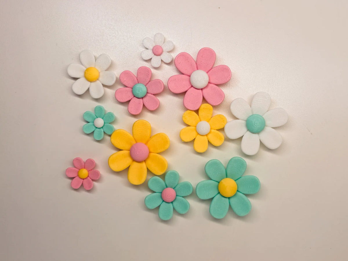Fleur à 6 pétales - Maison Print