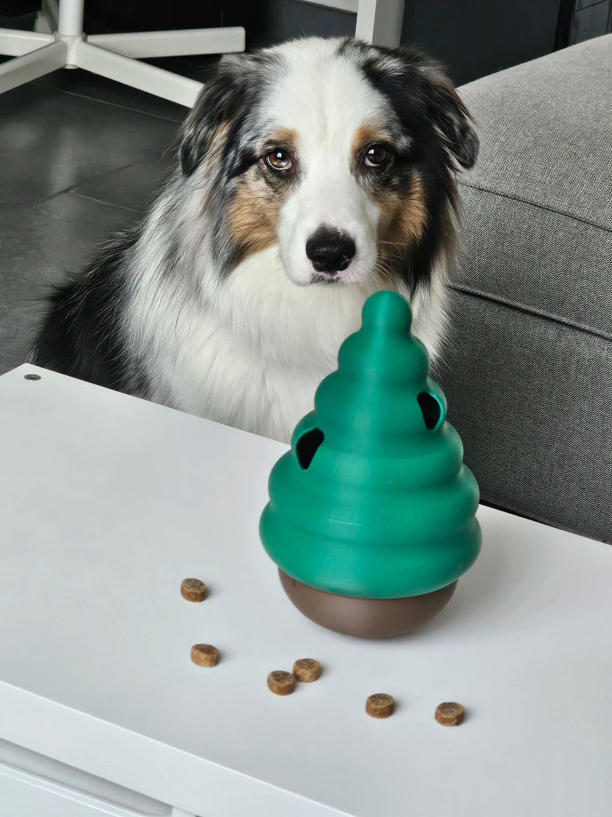 Distributeur de friandises à bascule – Jouet amusant pour chiens et chats - Pet Print