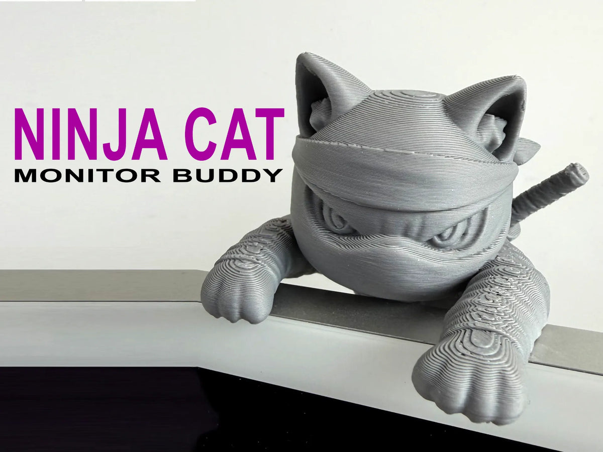 Compagnon Moniteur Chat Ninja - Figurine Print