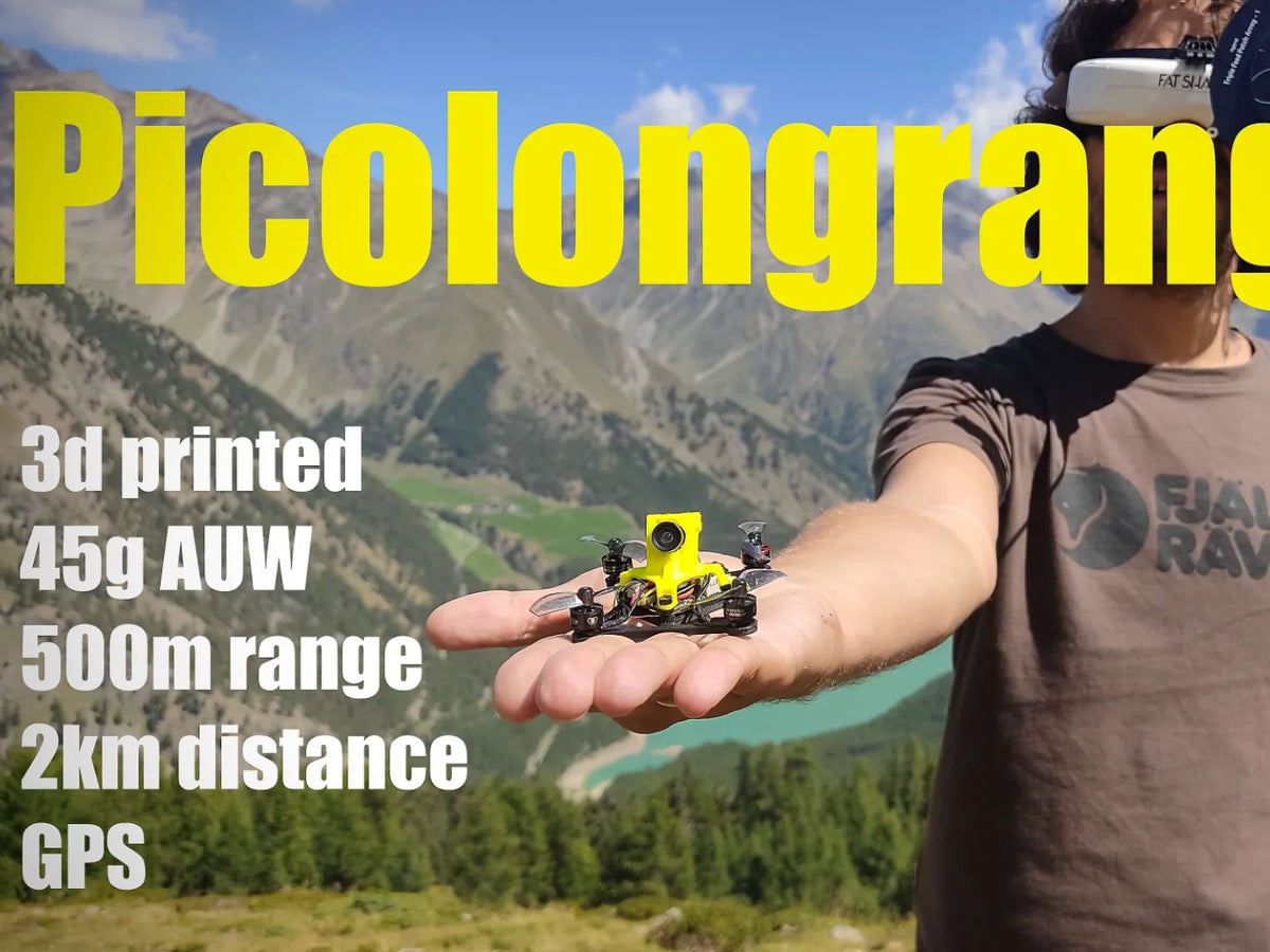 Drone FPV Picolongrange - Tech Print