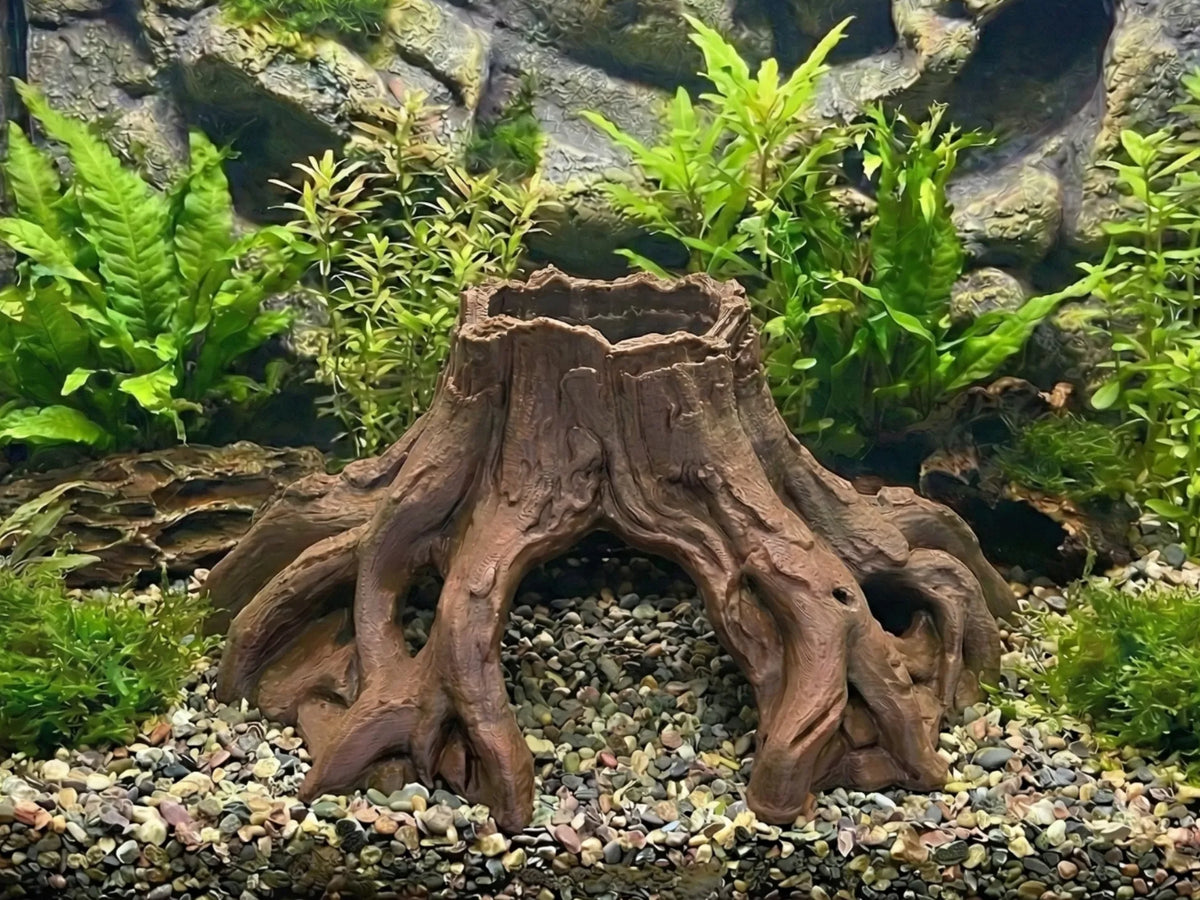 Aquarium Terrarium Cachette Grotte Souche d'Arbre Racine - Pet Print