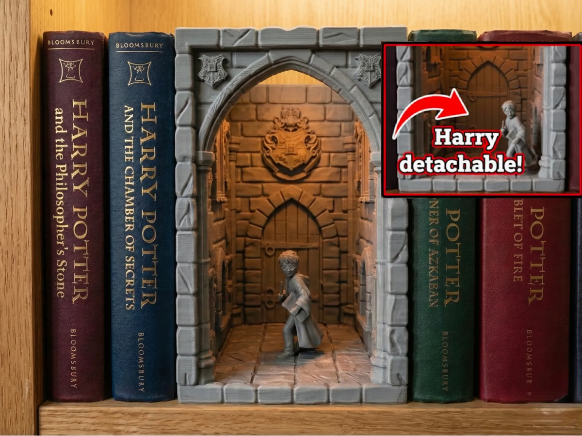 Niche à livres de la Promenade du Maraudeur de Harry - Maquette Print