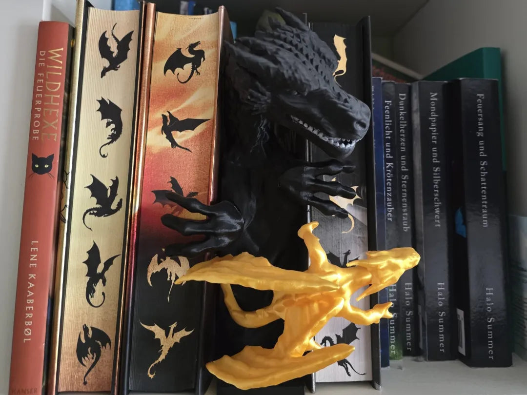 Booknook Fourth Wing - Cosplay Print