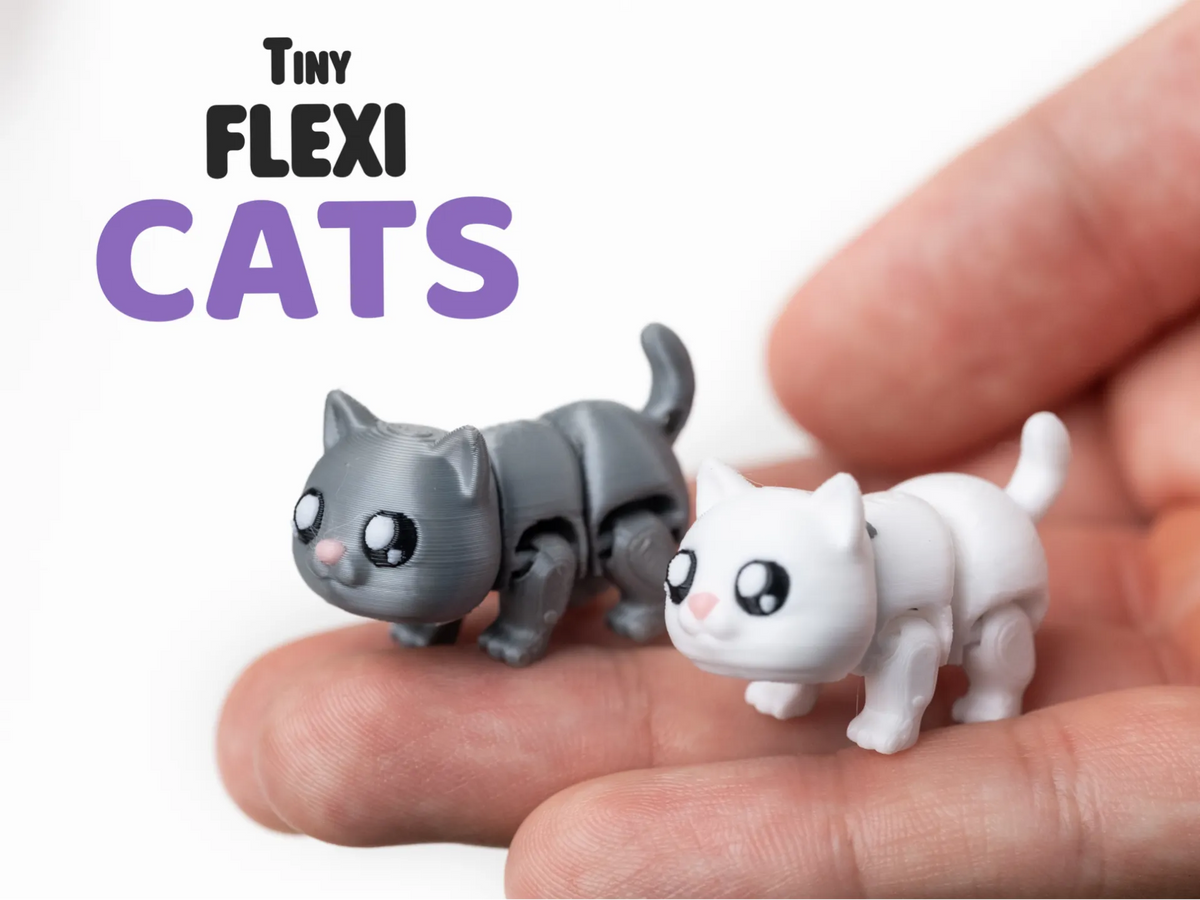 Mini Chat Flexi - Porte-clés - Figurine Print