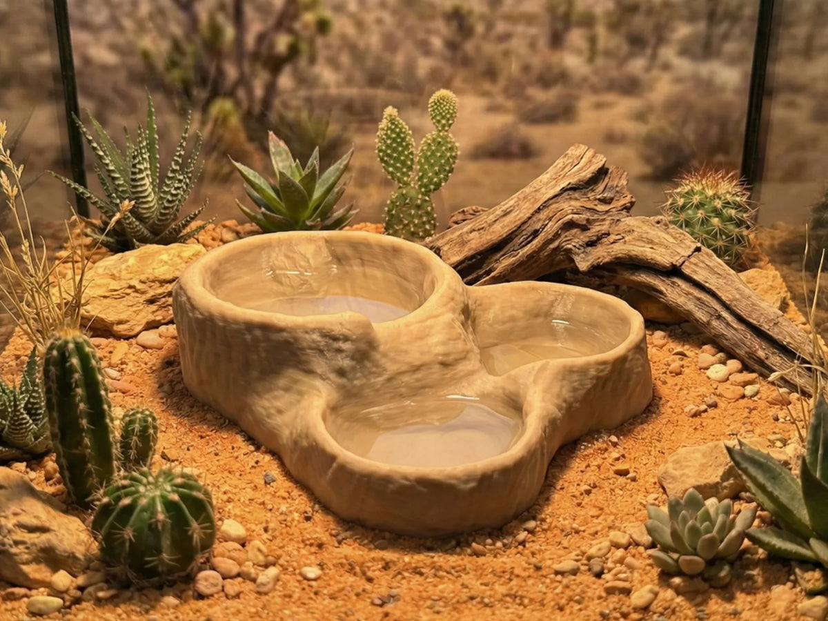 Distributeur triple roche naturelle - Bol de terrarium - Pet Print