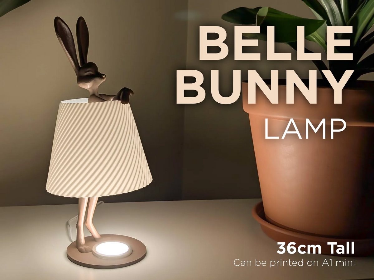 Lampe Lapin Belle – Veilleuse Cadeau de la Saint-Valentin - Lumière Print