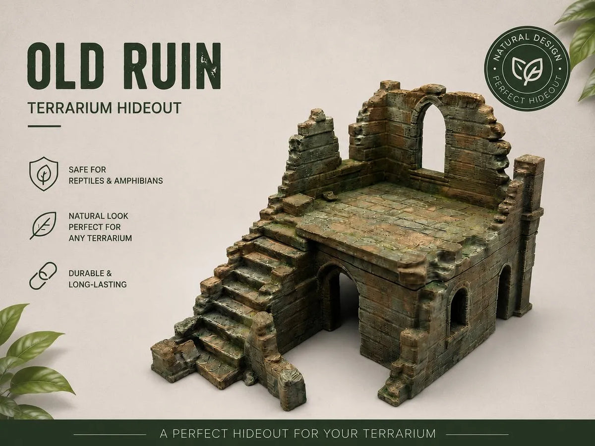 Vieille Ruine - Maquette Print