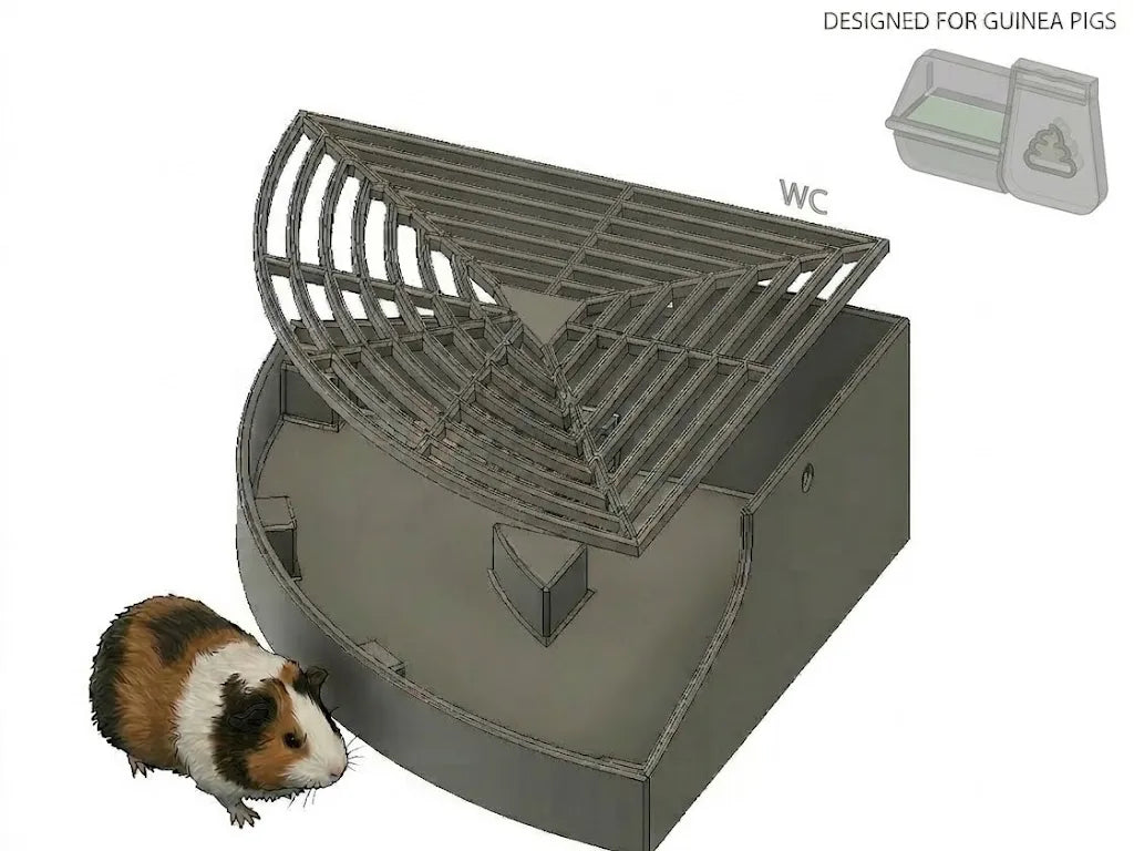 Toilettes pour cochon d'Inde - Pet Print