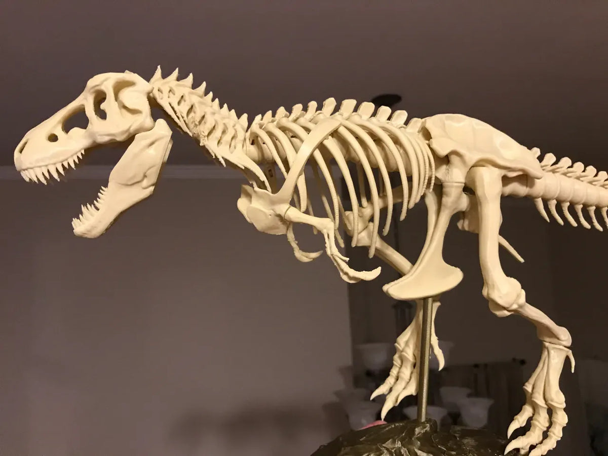 Mini T-Rex - Maquette Print