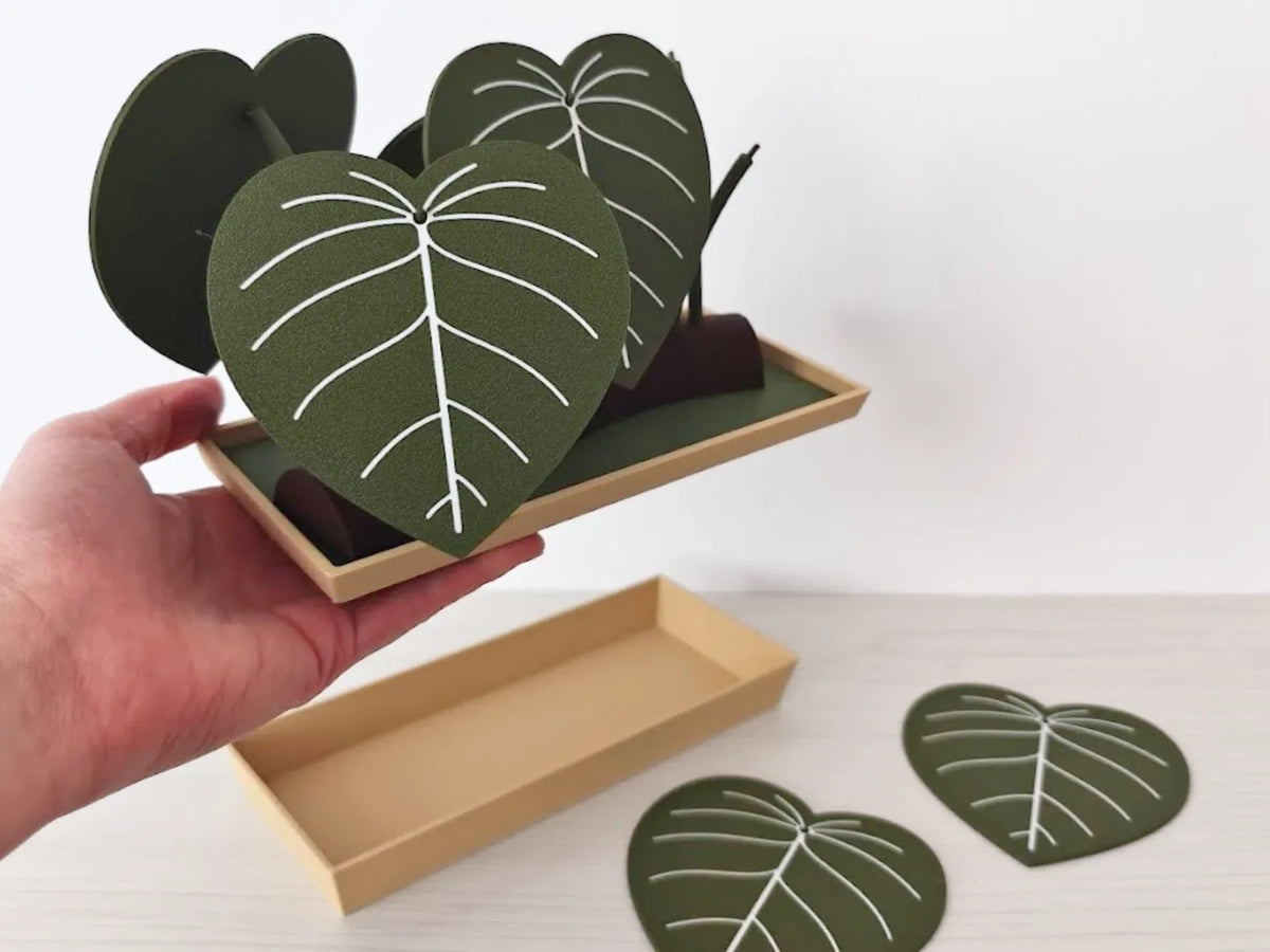 Ensemble de dessous-de-verre et de rangement Philodendron - Cuisine Print