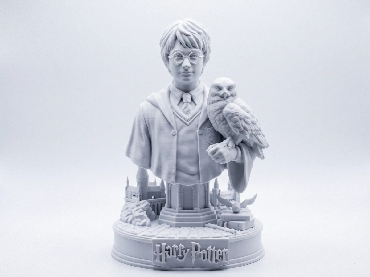 Harry Potter & Hedwig Diorama – Monde des Sorciers - Geek Print